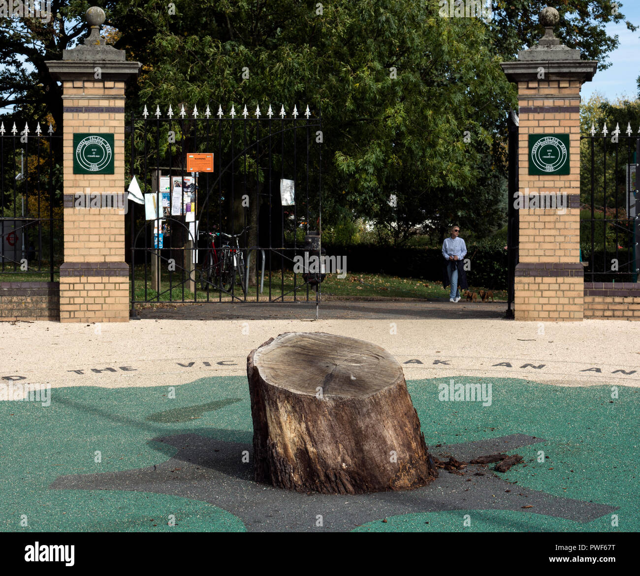 Remains of The Vicar`s Oak, Boundaries Gate, Crystal Palace Park, London, UK Stock Photo